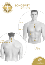 Longevity (Vigorous Aging) - Image 2