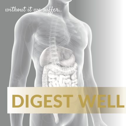 Digest Well by ANF