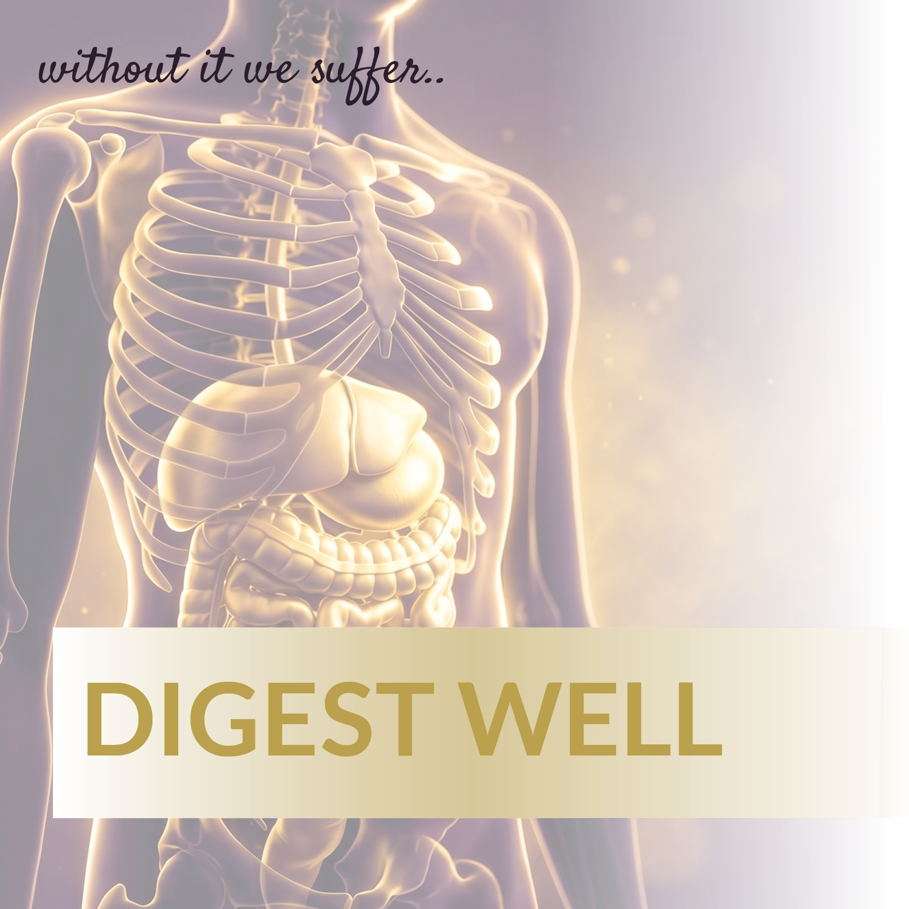 DIGEST WELL Digest Well - Image 1