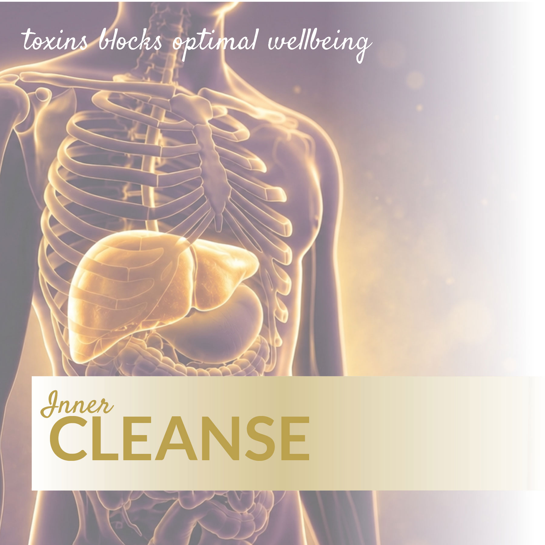 INNER-CLEANSE Inner Cleanse - Image 1